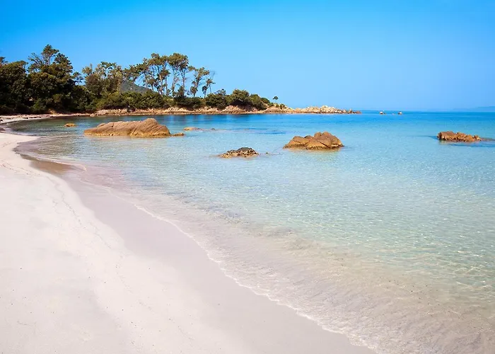 La Vie En Rose Kwatera prywatna Coti-Chiavari (Corsica)