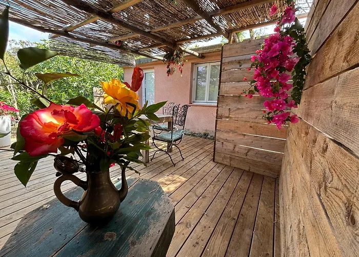 La Vie En Rose * 科蒂基亚瓦里